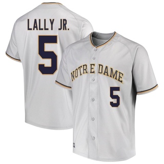 David Lally Jr. Replica Gray Youth Notre Dame Fighting Irish Performance Baseball Jersey